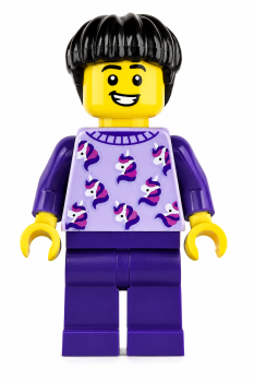 LEGO® Mann mit hellviolettem Einhorn-Pullover, dunkelvioletter Hose und schwarzen Haaren