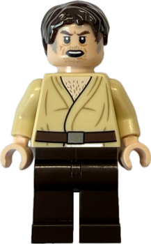 LEGO Star Wars Wuher sw0893 Cantina Barkeeper Vorderseite