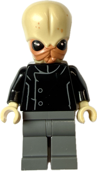 LEGO Star Wars Bith Musician sw0554 Vorderseite Cantina Band Figur