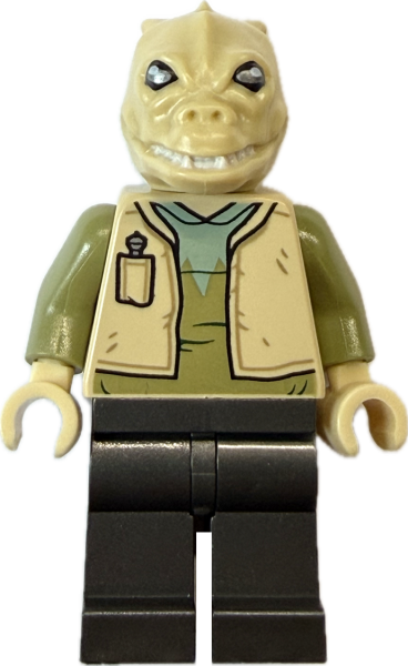 LEGO Star Wars Hrchek Kal Fas sw1130 Vorderseite Cantina Alien Minifigur